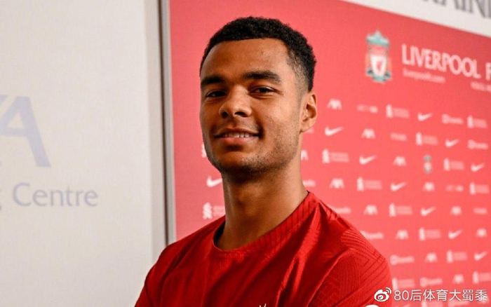 河床的粉丝 河床的粉丝