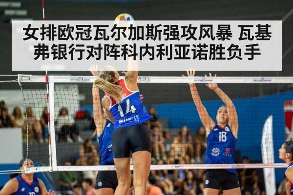 女排欧冠瓦尔加斯强攻风暴 瓦基弗银行对阵科内利亚诺胜负手 | kaiyun