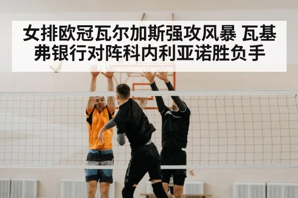 volleyball block net